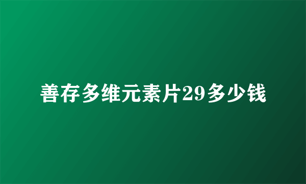 善存多维元素片29多少钱