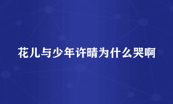 花儿与少年许晴为什么哭啊