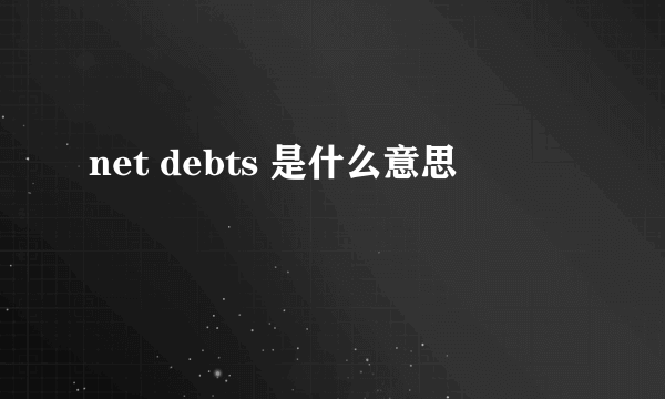 net debts 是什么意思