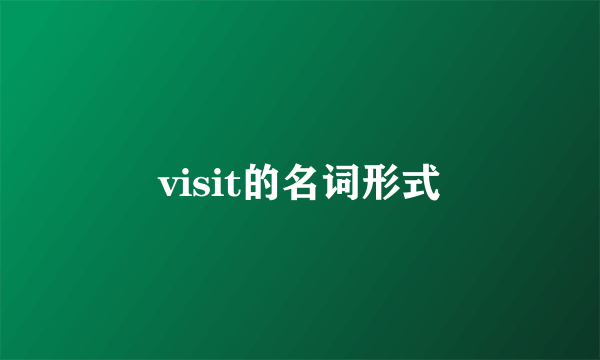 visit的名词形式