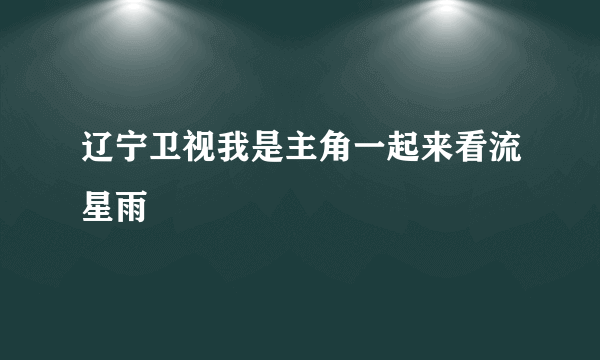 辽宁卫视我是主角一起来看流星雨