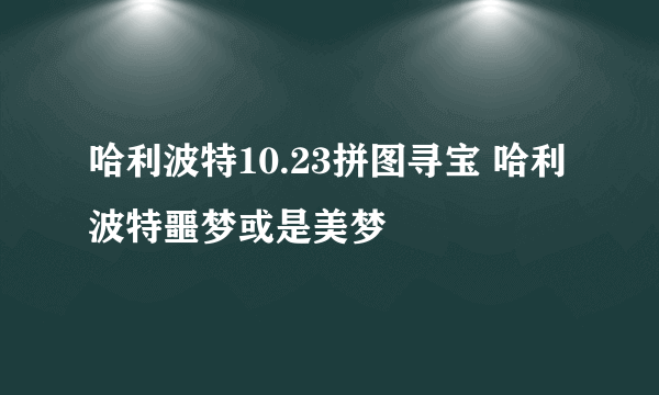 哈利波特10.23拼图寻宝 哈利波特噩梦或是美梦