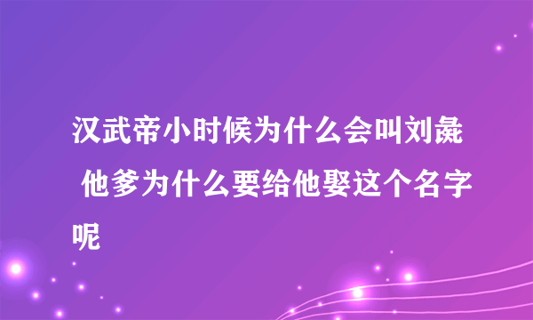 汉武帝小时候为什么会叫刘彘 他爹为什么要给他娶这个名字呢