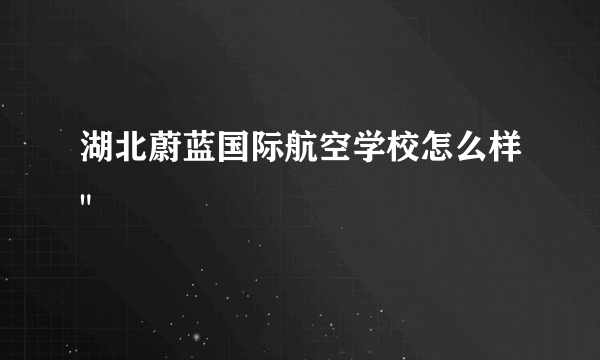 湖北蔚蓝国际航空学校怎么样