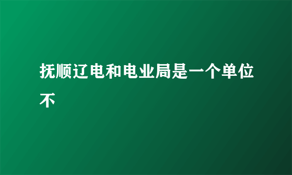 抚顺辽电和电业局是一个单位不