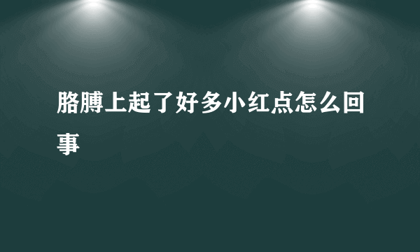 胳膊上起了好多小红点怎么回事