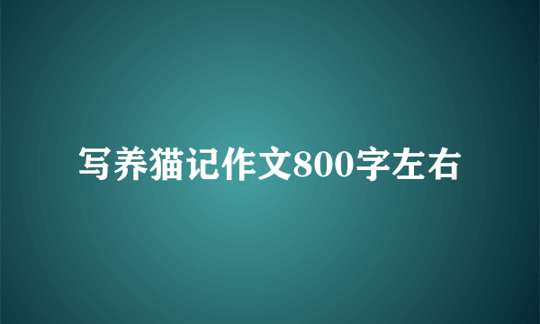 写养猫记作文800字左右