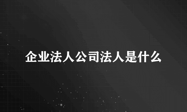 企业法人公司法人是什么