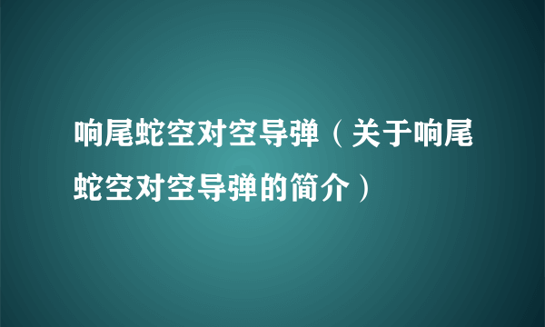 响尾蛇空对空导弹（关于响尾蛇空对空导弹的简介）