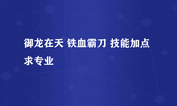 御龙在天 铁血霸刀 技能加点 求专业