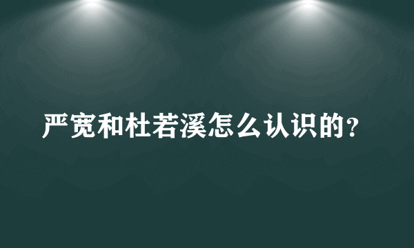 严宽和杜若溪怎么认识的？