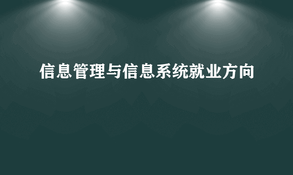 信息管理与信息系统就业方向