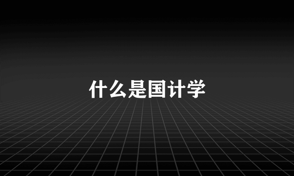 什么是国计学