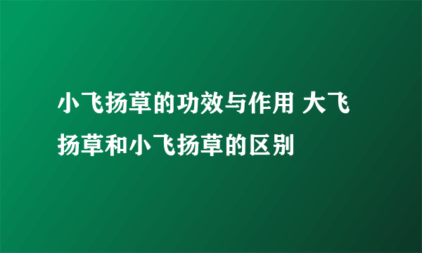 小飞扬草的功效与作用 大飞扬草和小飞扬草的区别