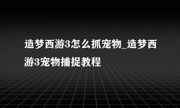 造梦西游3怎么抓宠物_造梦西游3宠物捕捉教程