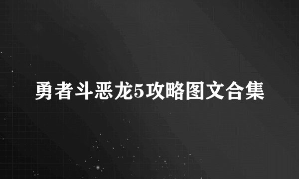 勇者斗恶龙5攻略图文合集