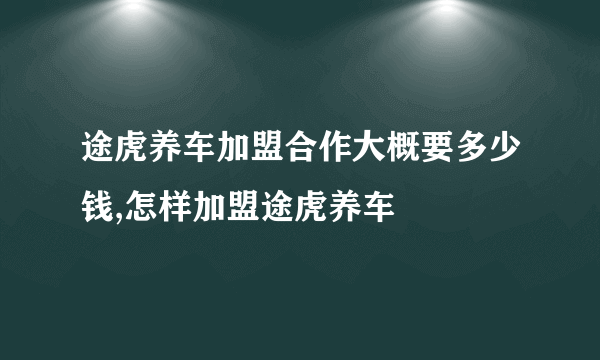 途虎养车加盟合作大概要多少钱,怎样加盟途虎养车