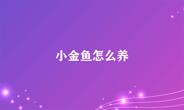 小金鱼怎么养