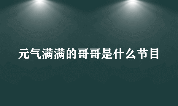 元气满满的哥哥是什么节目