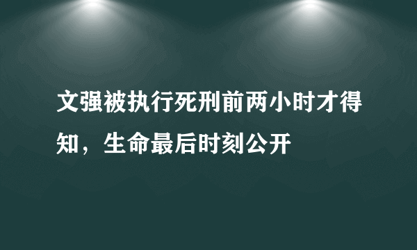 文强被执行死刑前两小时才得知，生命最后时刻公开