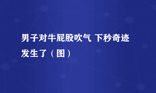 男子对牛屁股吹气 下秒奇迹发生了（图）