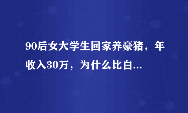 90后女大学生回家养豪猪，年收入30万，为什么比白领还要赚钱啊？