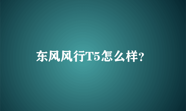 东风风行T5怎么样？