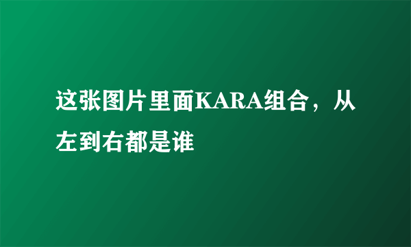 这张图片里面KARA组合，从左到右都是谁