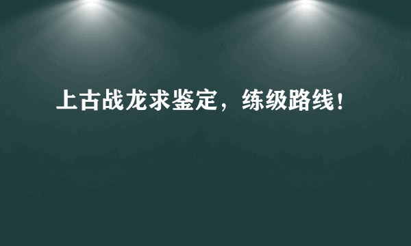 上古战龙求鉴定，练级路线！