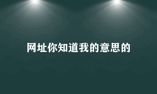 网址你知道我的意思的