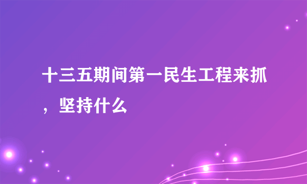 十三五期间第一民生工程来抓，坚持什么