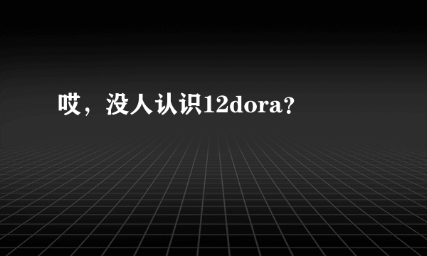 哎，没人认识12dora？