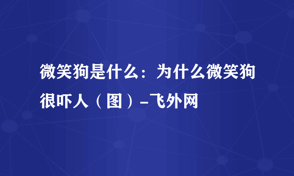 微笑狗是什么：为什么微笑狗很吓人（图）-飞外网