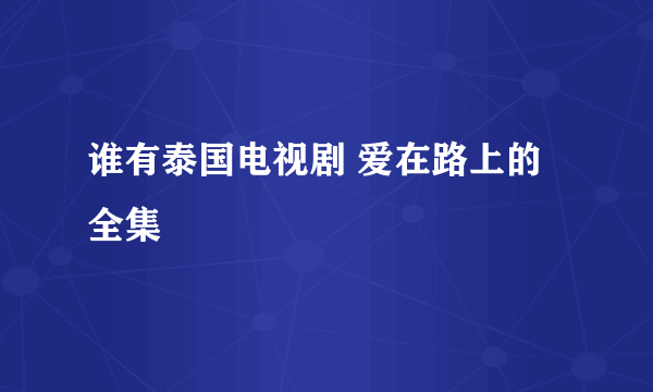 谁有泰国电视剧 爱在路上的全集