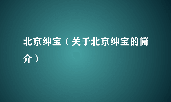 北京绅宝（关于北京绅宝的简介）