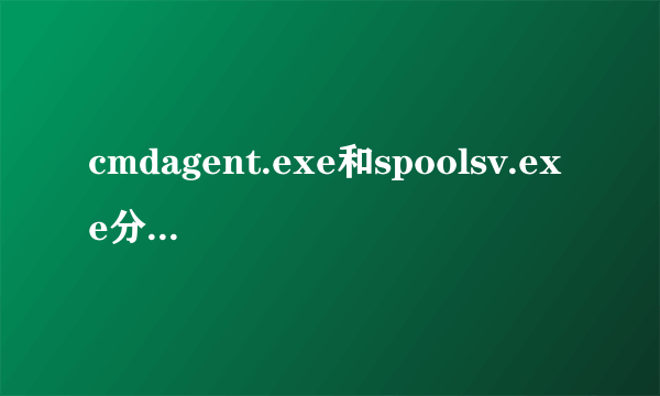 cmdagent.exe和spoolsv.exe分别是什么进程?