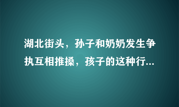 湖北街头，孙子和奶奶发生争执互相推搡，孩子的这种行为是受何影响的？