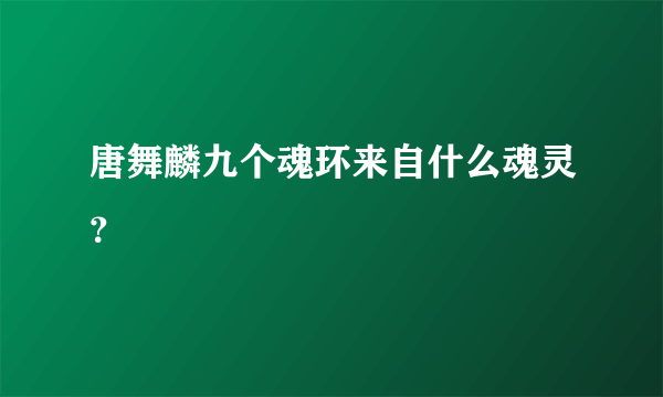 唐舞麟九个魂环来自什么魂灵？