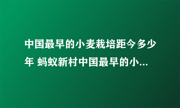 中国最早的小麦栽培距今多少年 蚂蚁新村中国最早的小麦10.22