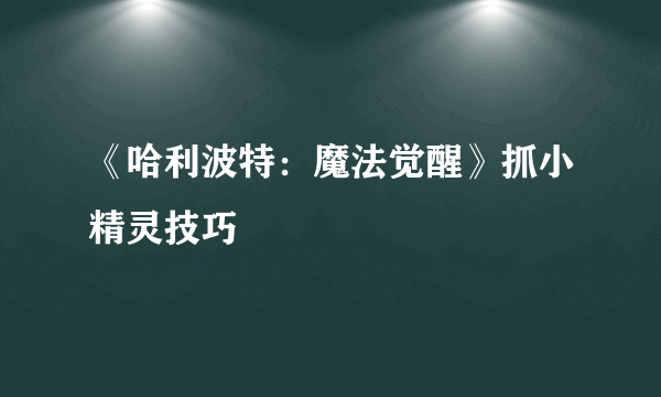 《哈利波特：魔法觉醒》抓小精灵技巧