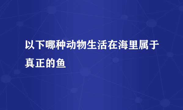 以下哪种动物生活在海里属于真正的鱼