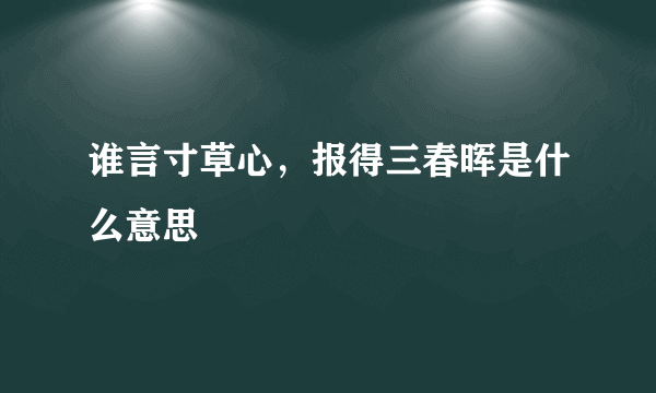 谁言寸草心，报得三春晖是什么意思