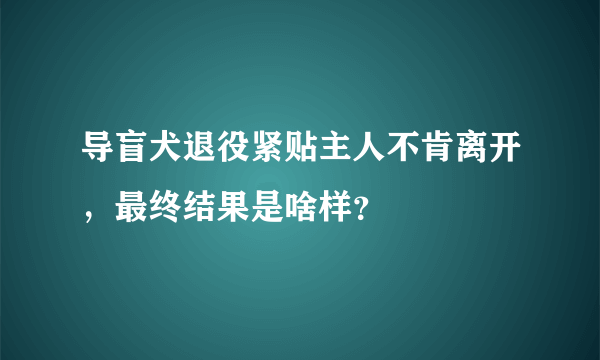 导盲犬退役紧贴主人不肯离开，最终结果是啥样？