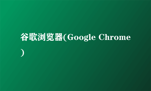 谷歌浏览器(Google Chrome)