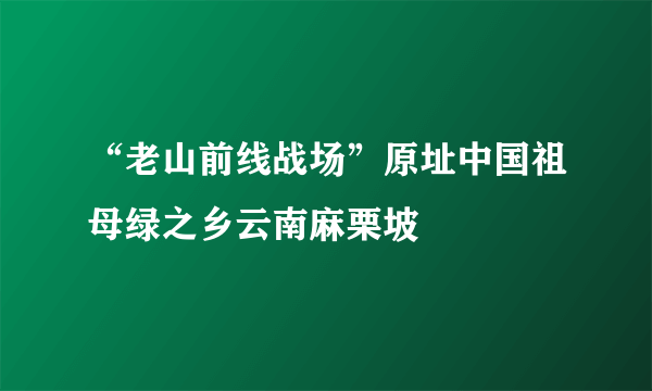 “老山前线战场”原址中国祖母绿之乡云南麻栗坡