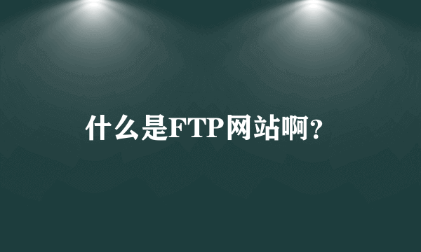 什么是FTP网站啊？