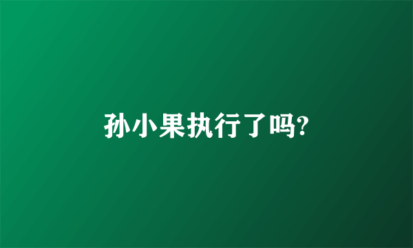 孙小果执行了吗?