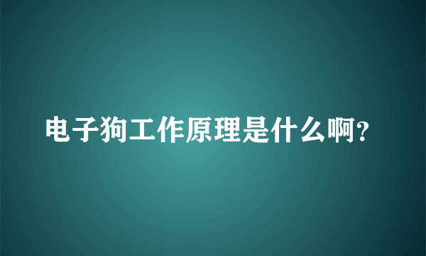 电子狗工作原理是什么啊？