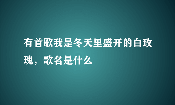 有首歌我是冬天里盛开的白玫瑰，歌名是什么