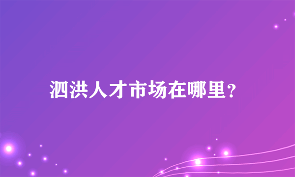 泗洪人才市场在哪里？